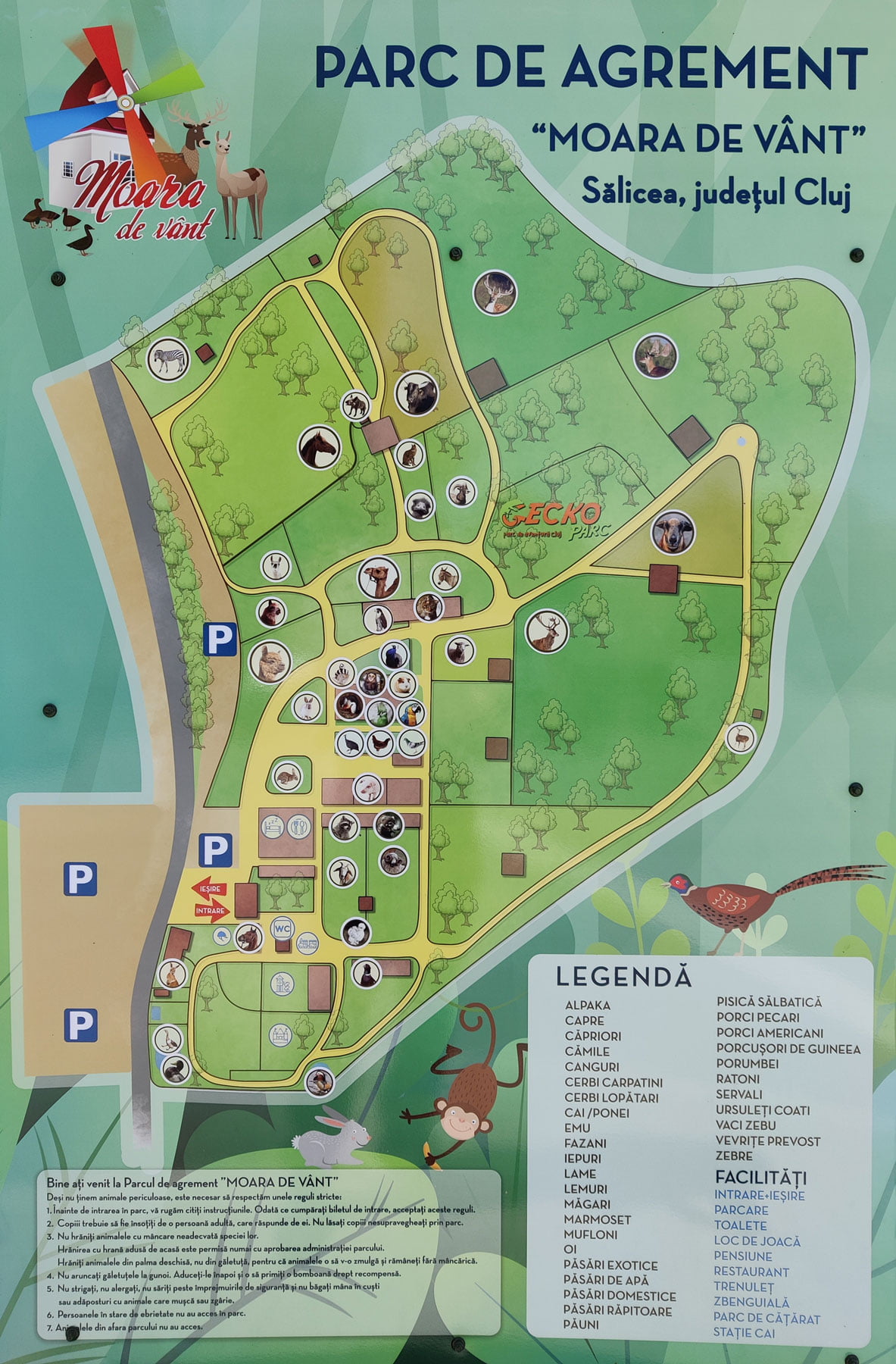 Harta Parc ZOO Moara de Vant Salicea Cluj